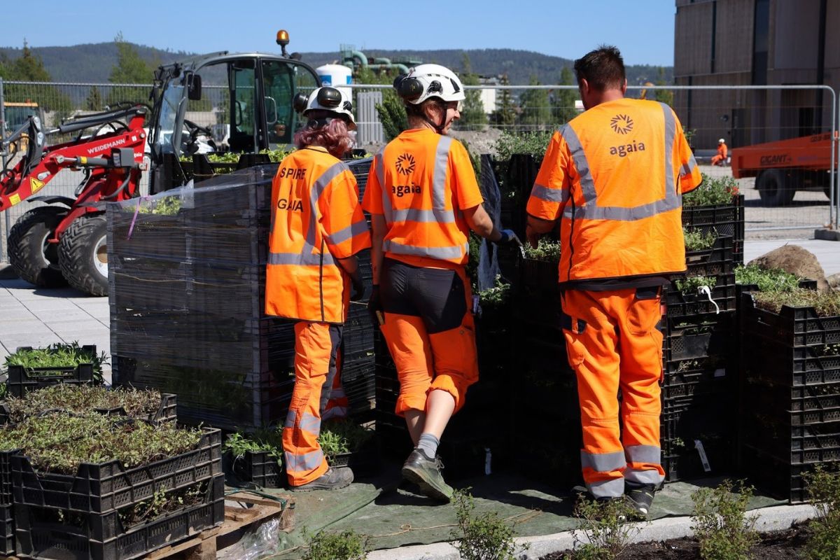 Artikel i Bild Agaia utemiljö Artikel i Bild Agaia utemiljö